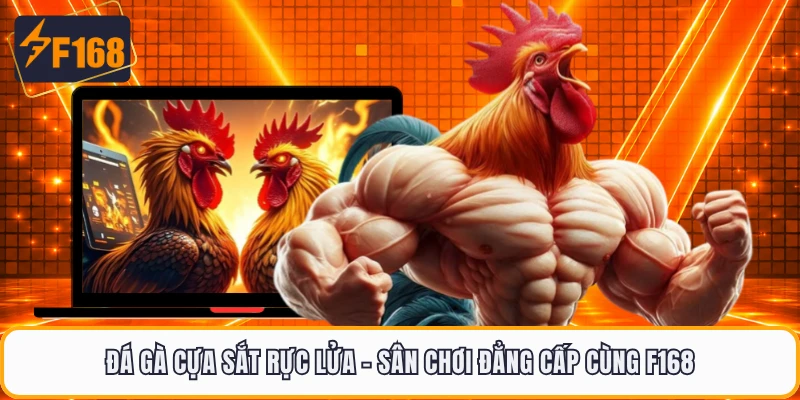 Đá Gà Cựa Sắt Rực Lửa - Sân Chơi Đẳng Cấp Cùng F168