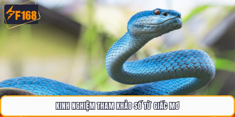 Kinh nghiệm tham khảo số từ giấc mơ