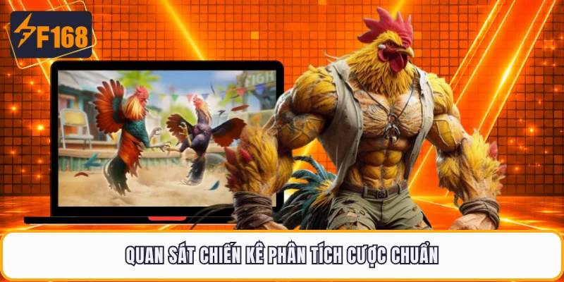 Quan sát chiến kê phân tích cược chuẩn