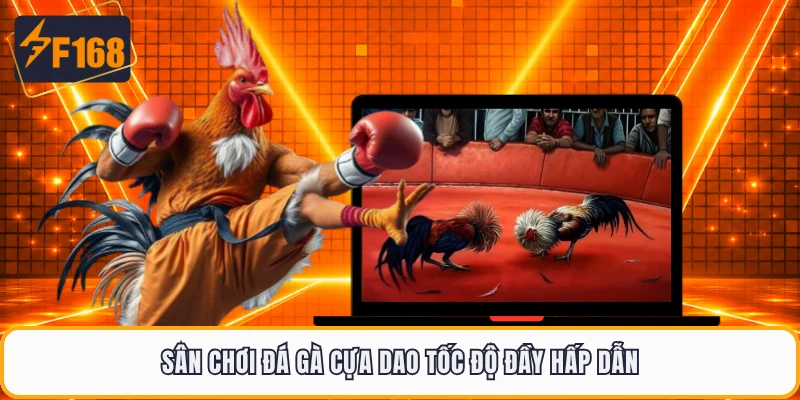 Sân chơi đá gà cựa dao tốc độ đầy hấp dẫn